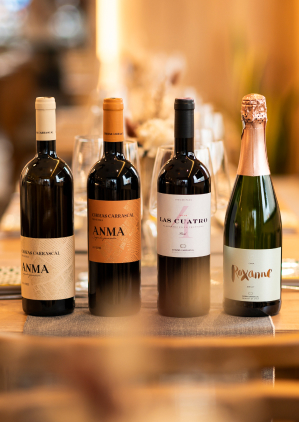 fotografía-marcas-valencia